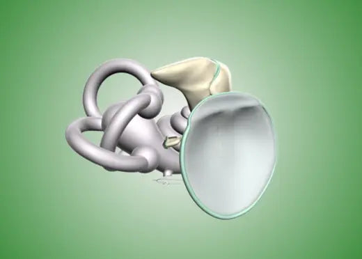 Schématisation de l'oreille interne